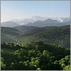 Mai 47 ·  La forêt du Mourle - Montaut  · © stockli